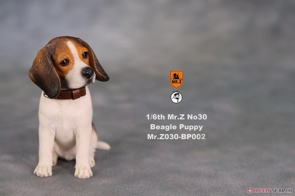 Beagle Puppy Statue 002 (Fashion Doll) Item picture5