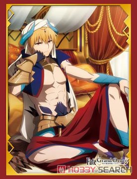 ブシロードスリーブコレクションHG Vol.2632 Fate/Grand Order -絶対魔