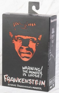 Frankenstein/ Frankenstein Ultimate 7inch Action Figure (Completed 