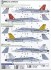 F/A-18A Hornet RAAF (Set of 2) (Plastic model) 塗装2 Modal Thumbnail