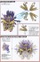 ★特価品 SDW HEROES 窮奇ストライクフリーダムガンダム (ガンプラ) 設計図3 モーダル サムネイル