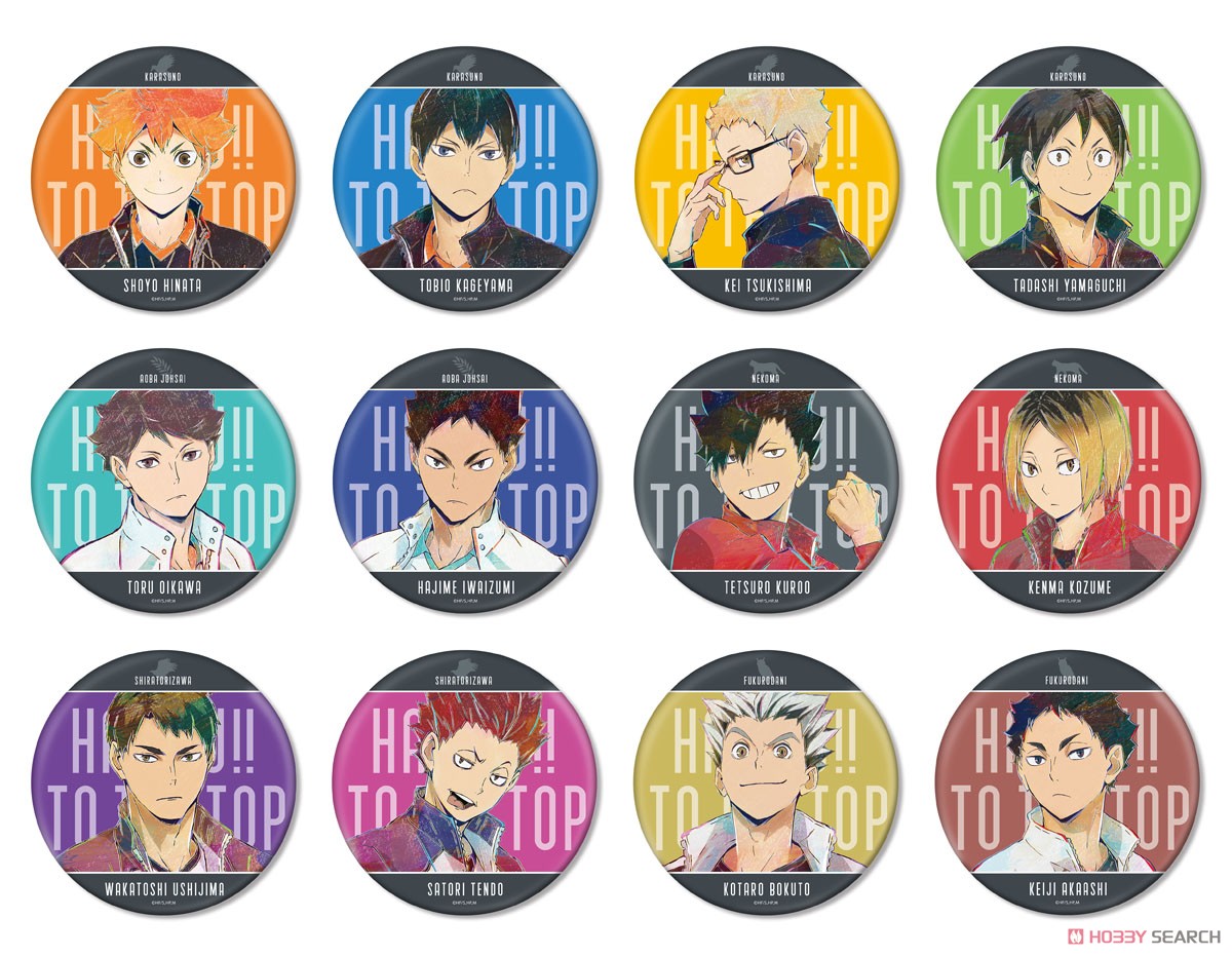 ハイキュー!! TO THE TOP 岩泉一 Ani-Art 第5弾 BIG缶バッジ