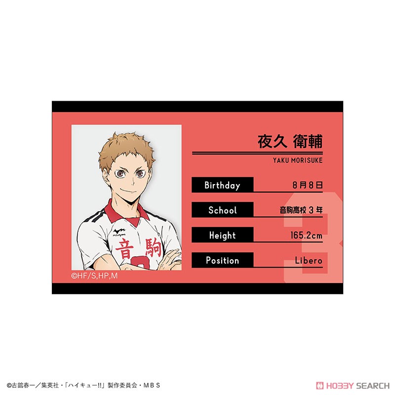 ハイキュー!! トレーディングプロフィール缶バッジ (13個セット