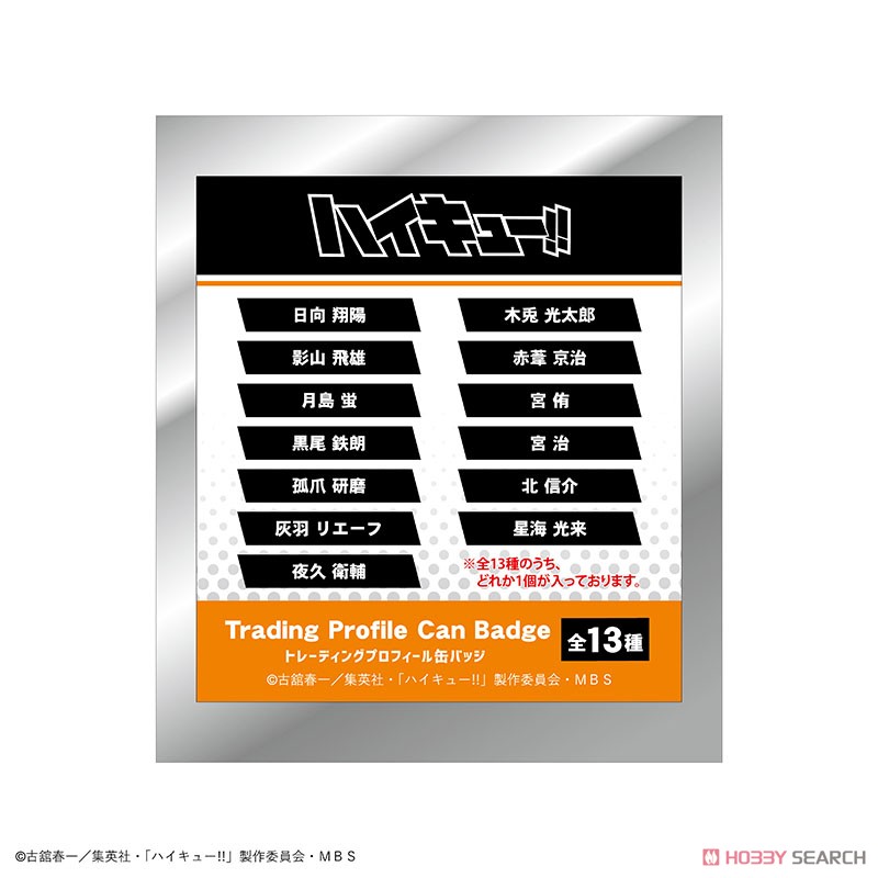 ハイキュー!! トレーディングプロフィール缶バッジ (13個セット