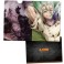 Dr. Stone Clear File B (Anime Toy) 商品画像1 Thumbnail