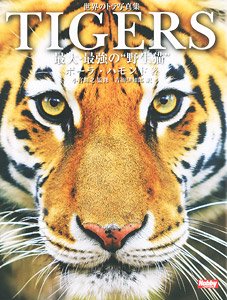 Tigers The World`s Largest Cat Fascinating Tiger Photo Book (Art Book)