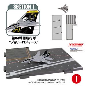 セクション【I】第84戦闘飛行隊`ジョリーロジャース` (完成品飛行機)