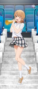 やはり俺の青春ラブコメはまちがっている 完 描き下ろし Bigタペストリー いろは 応援 キャラクターグッズ ホビーサーチ キャラクターグッズ