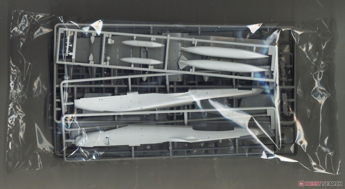 A-10C Thunderbolt II `Indiana ANG 100th Anniversary` (Plastic model) 中身1
