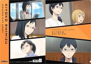 Haikyu Kiyoko Shimizu With Her Team HD Anime Wallpapers  HD Wallpapers   ID 37972