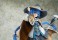 CAworks Roxy Migurdia (PVC Figure) 商品画像6 Thumbnail