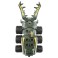 Kabuto Borg KB-04 Giraffa Sawtooth Stag Beetle (Character Toy) 商品画像4 Thumbnail