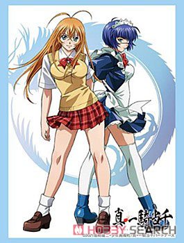 Bushiroad Sleeve Collection HG Vol.3434 Ikki Tousen Sonsaku & Ryomou (Card Sleeve) 商品画像1