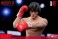 Star Ace Toys Rocky Balboa (Boxer Style) Collectable Action Figure (Completed) その他の画像4 Thumbnail