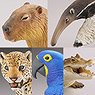 CapsuleQ Museum Wild Rush True World Animal Journal II -South America, Amazon- (Set of 12) (Animal Figure)