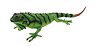 Latex Iguana (Animal Figure)