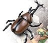 R/C Beetle (RC Model)