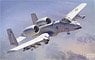 A-10C Thunderbolt II `USAF 75th Squadron` (Plastic model)